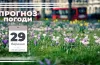 Прогноз погоди, народні прикмети