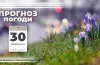 погода