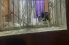 безпекова ситація