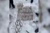 піймали браконьєра
