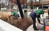 благоустрій зон відпочинку у Дніпрі