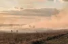 пожежа на Полтавському шосе