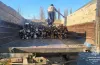 затримали чорних лісорубів у Верхньодніпровську