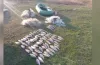 порушення, законодавство, рибпатруль, вилов риби