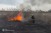 пожежі