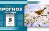 прогноз погоди