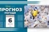 погода