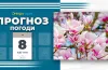 прогноз погоди, заморозки, дощ