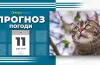 прогноз погоди