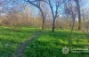кримінал