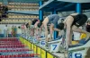 чемпіонат України з плавання