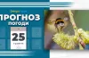 Прогноз погоди на 25 травня: на Дніпропетровщині очікується спека та поривчастий вітер