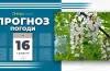 прогноз погоди
