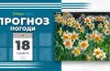погода