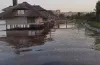 загибель риби, вода, неприємний запах