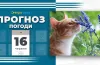 Прогноз погоди на 16 червня: у Дніпропетровській області — дощі, грози та поривчастий вітер