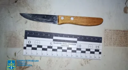 вбив ножем підлітка
