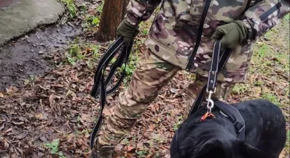 знаряддя злочину знайшов пес