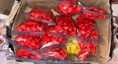 підозрювана з Павлограду