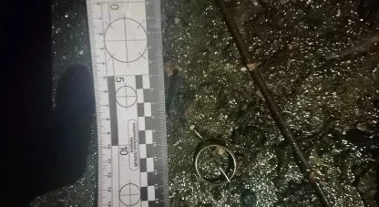 пожежа у будинку