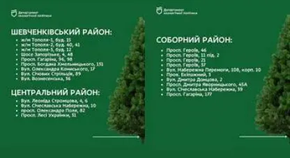 утилізація ялинок