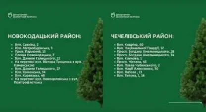 новорічні ялинки