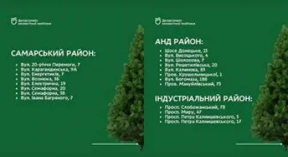 куди викидати ялинки у Дніпрі