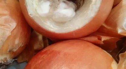 наркотики у продуктах