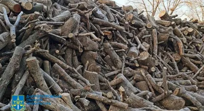 прокуратура затримала чорних лісорубів на Дніпропетровщині