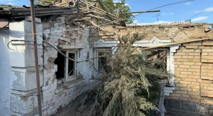 Нікопольщина