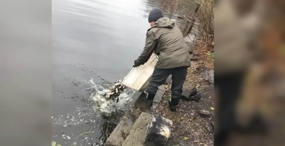зариблення
