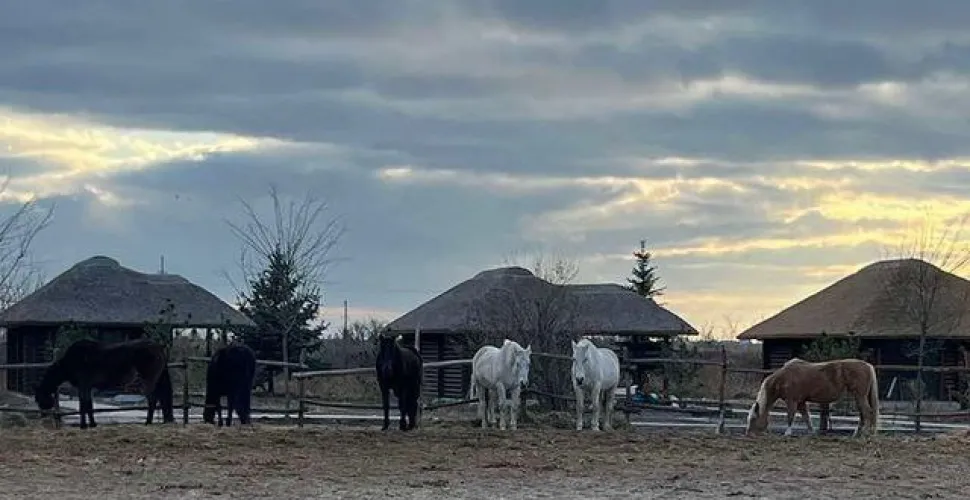 пожежа, загибель тварин