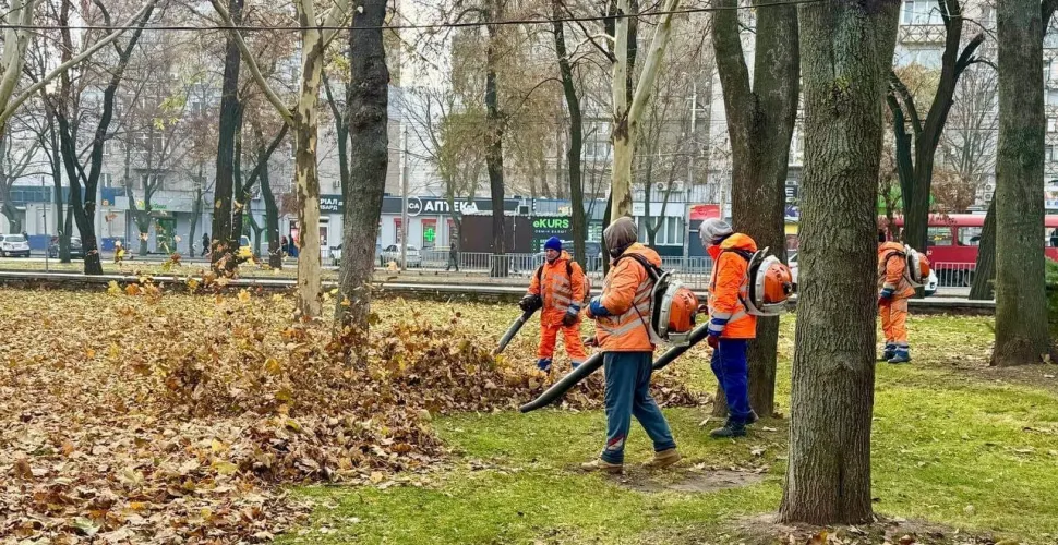 листя