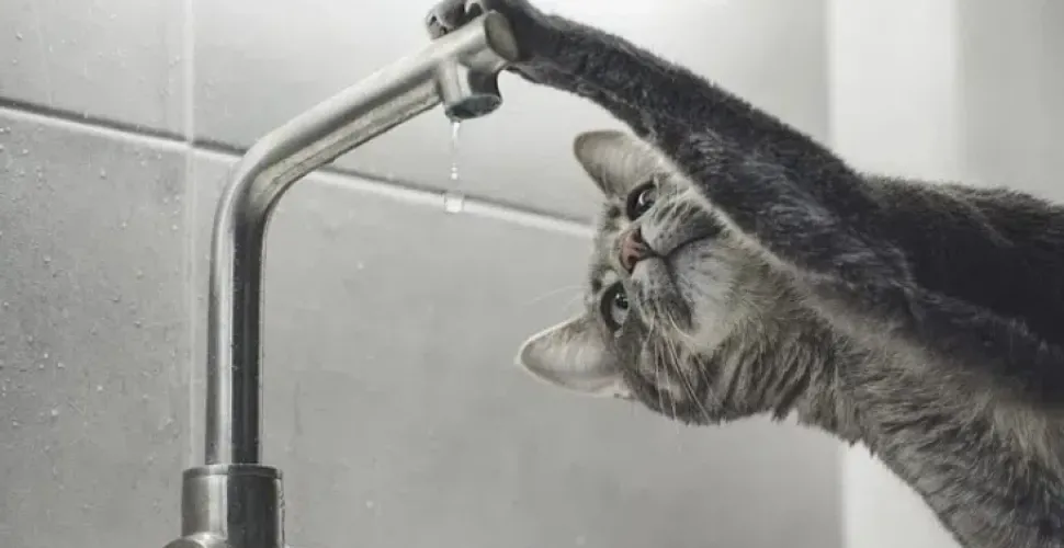 вода