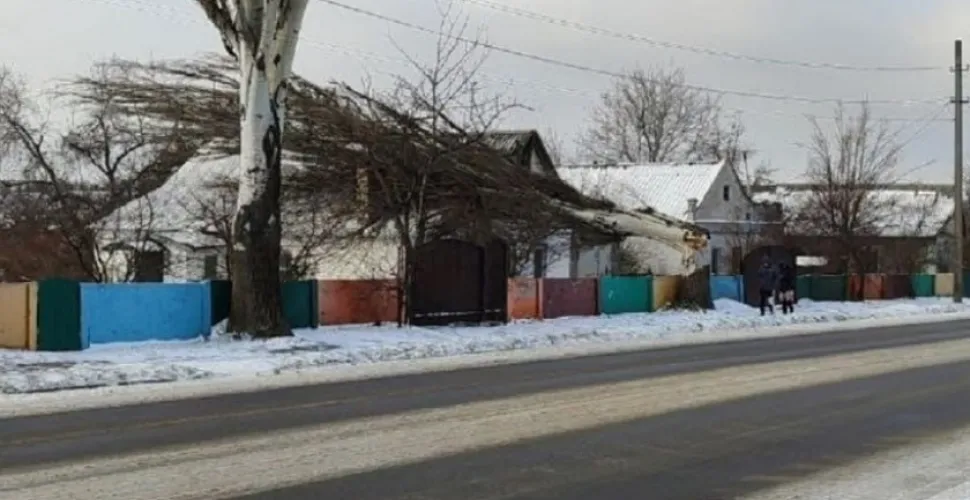 негода, падіння дерев, вітер