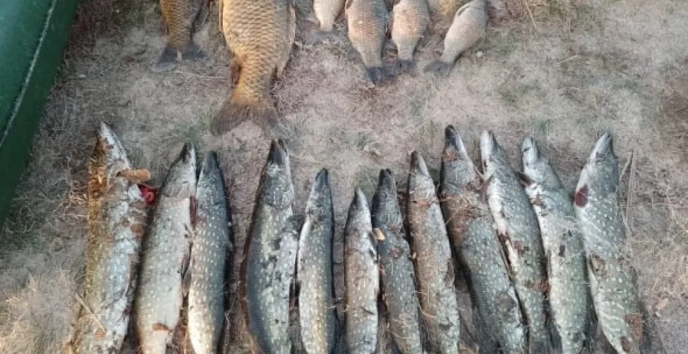 рибоохоронний патруль, звіт