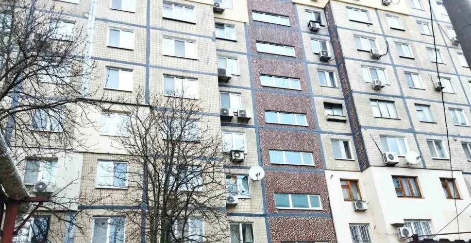 будинки