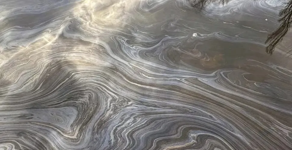 розводи, вода, пісок, нафтопродукти
