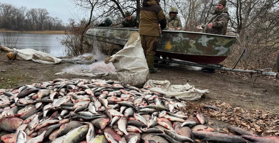 рибохорона, браконьєри