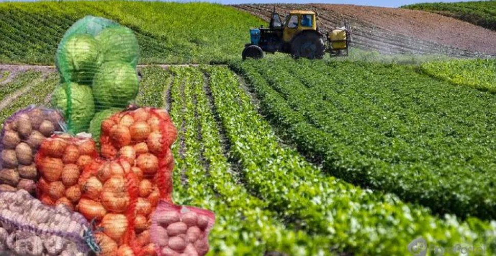 аграрії Дніпропетровщини