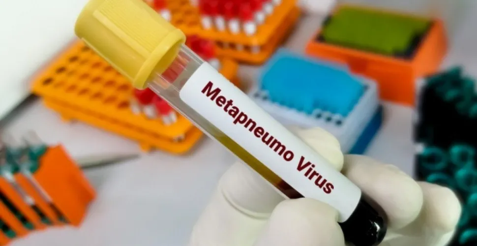 метапневмовірус на Дніпропетровщині