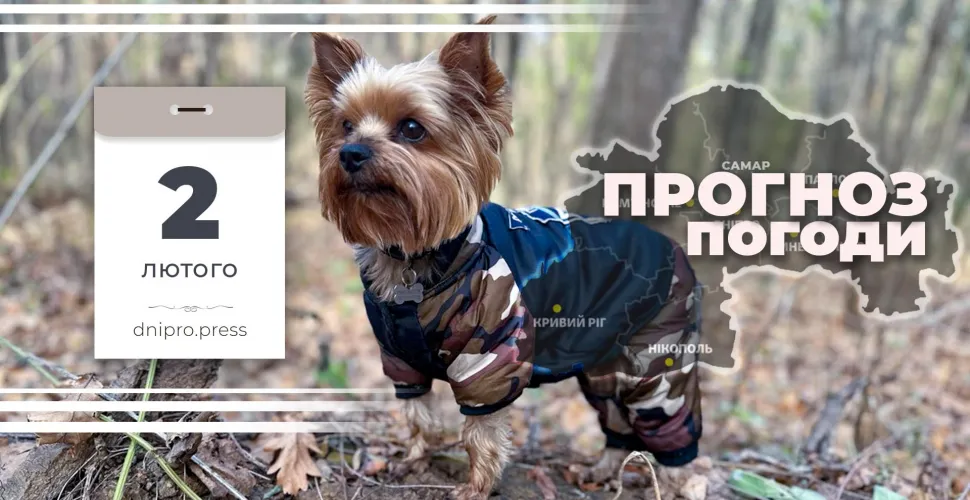 погода