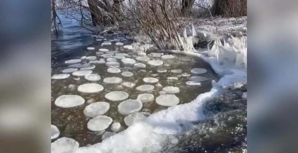 явище природи, крига, млинці