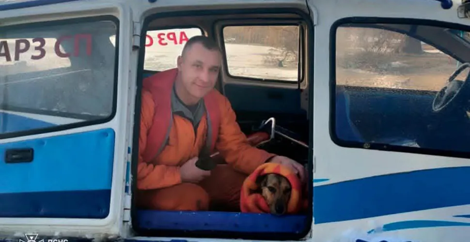 порятунок, собака, крижана вода