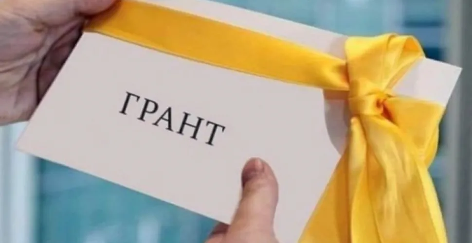 грант, підприємець, кошти