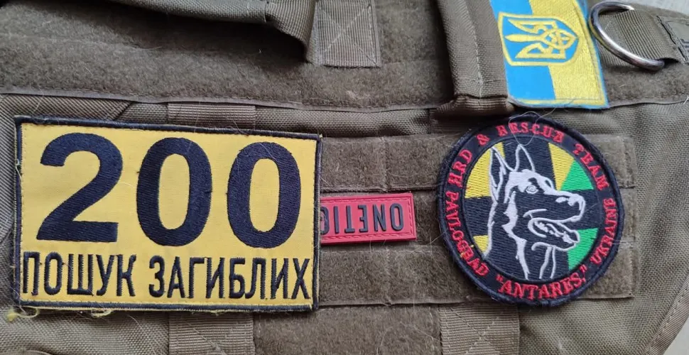 Крадіжка