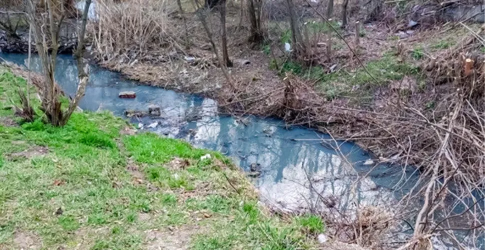 екологічна проблема, колектор, забруднена вода, хімічні домішки