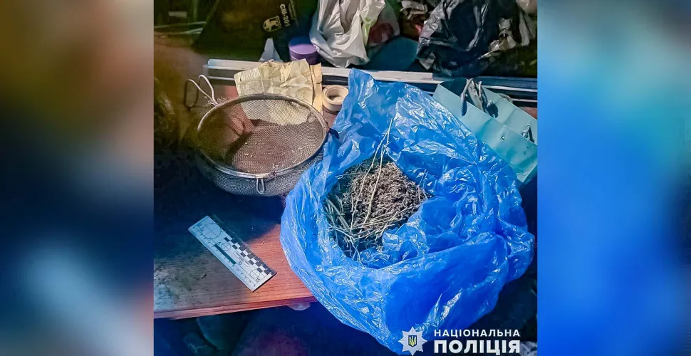 наркотична речовина, зберігання, експертиза