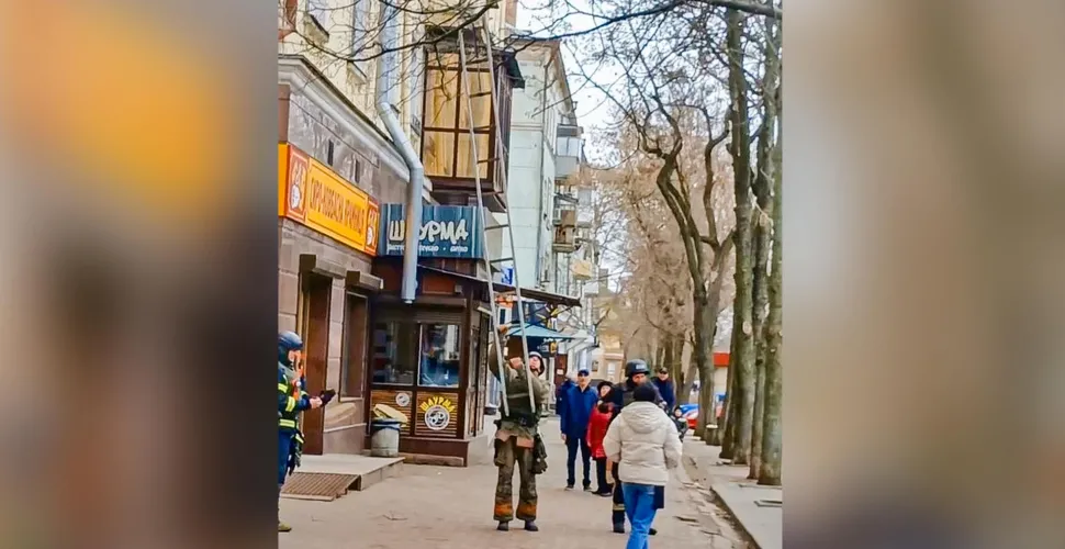 порятунок, кіт, дерево, надзвичайники