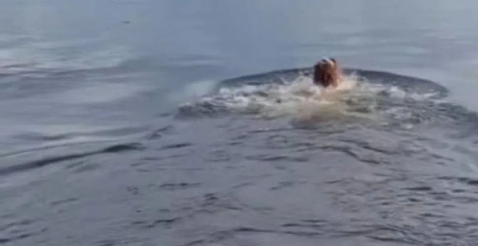 купання, дівчинка, крижана вода